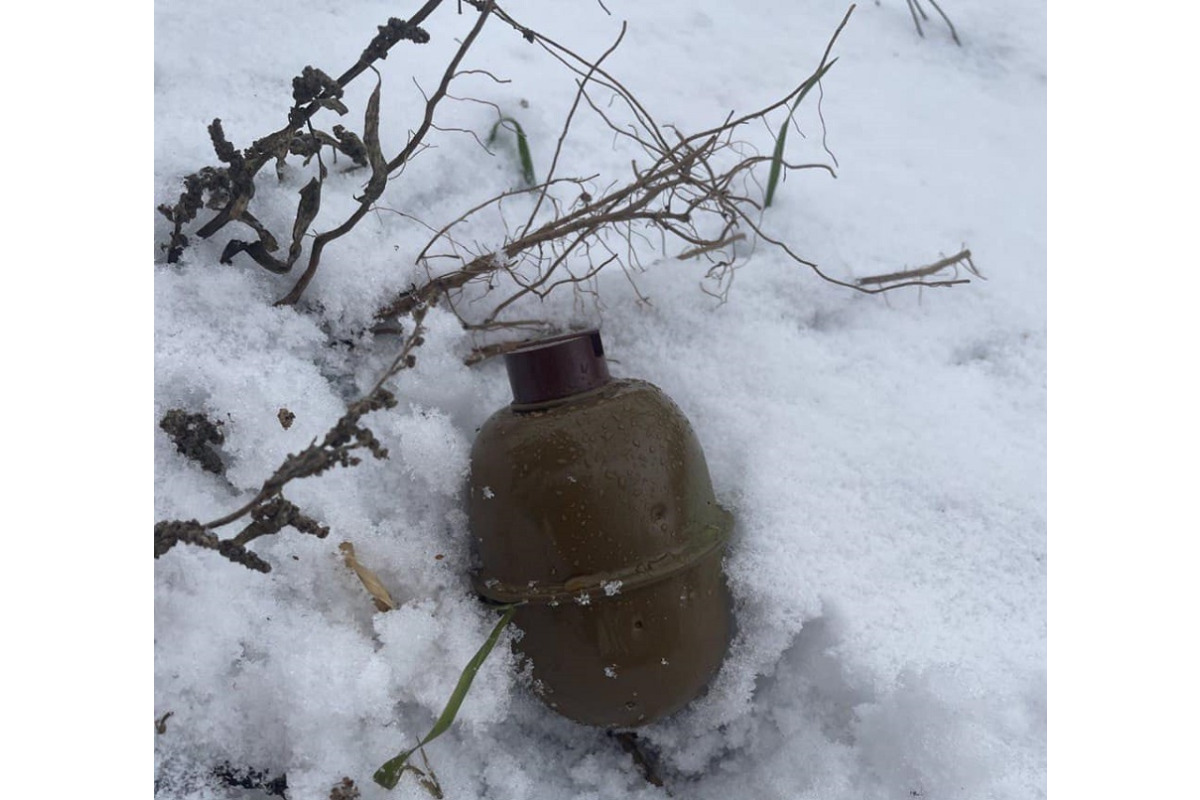 У селі Нові Петрівці знайшли гранату