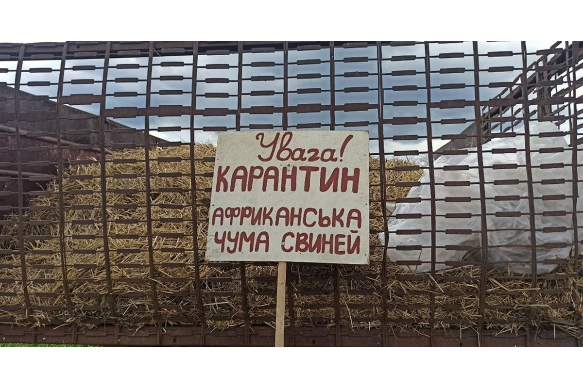 На Бориспільщині зареєстровано нові випадки африканської чуми свиней