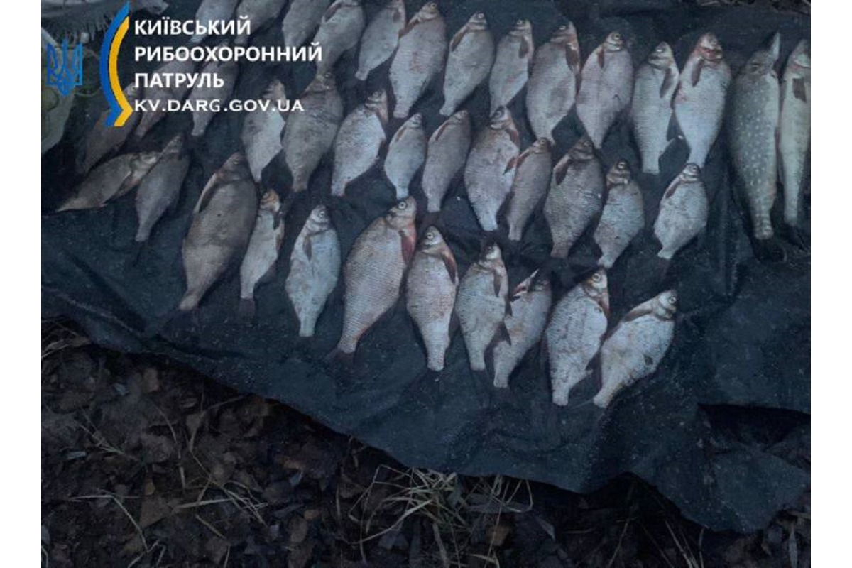 Поблизу Вишгорода спіймали браконьєра
