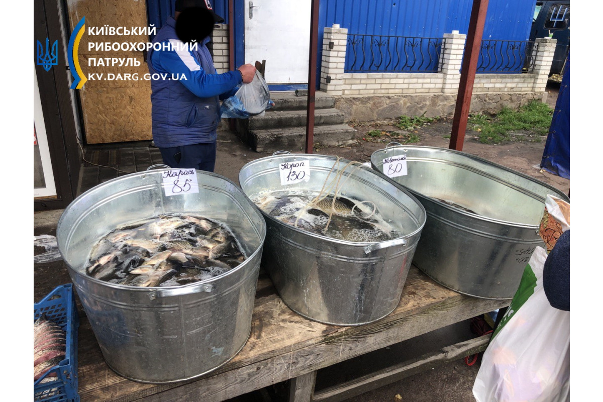 На ринку у Макарові виявили незаконний продаж понад 200 кг риби