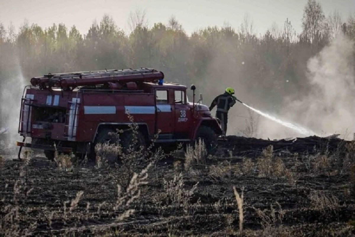 В Ірпені під час загоряння трави загинув чоловік