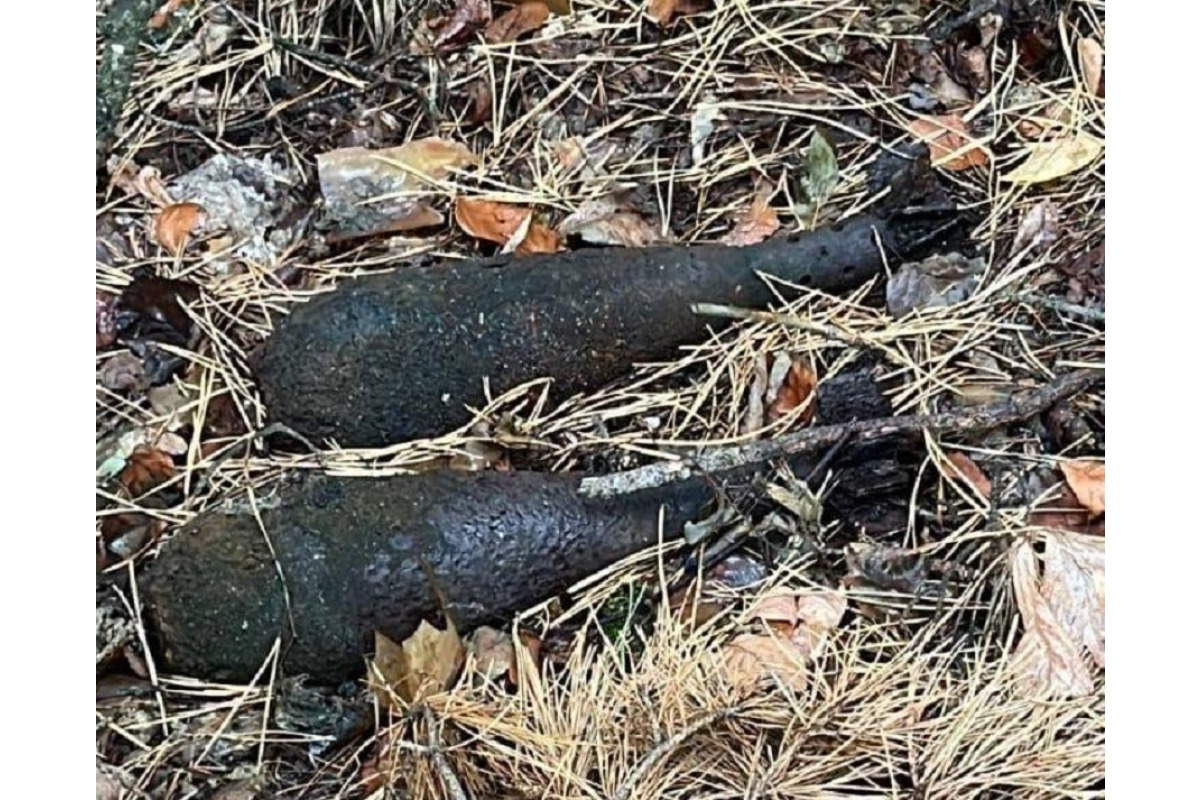 Сьогодні у Макарові виявили дві міни