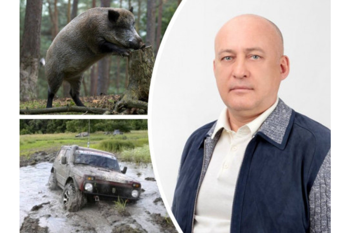 Купити за копійки: як найбагатший депутат Глиняний став крупним лісовим магнатом Київщини