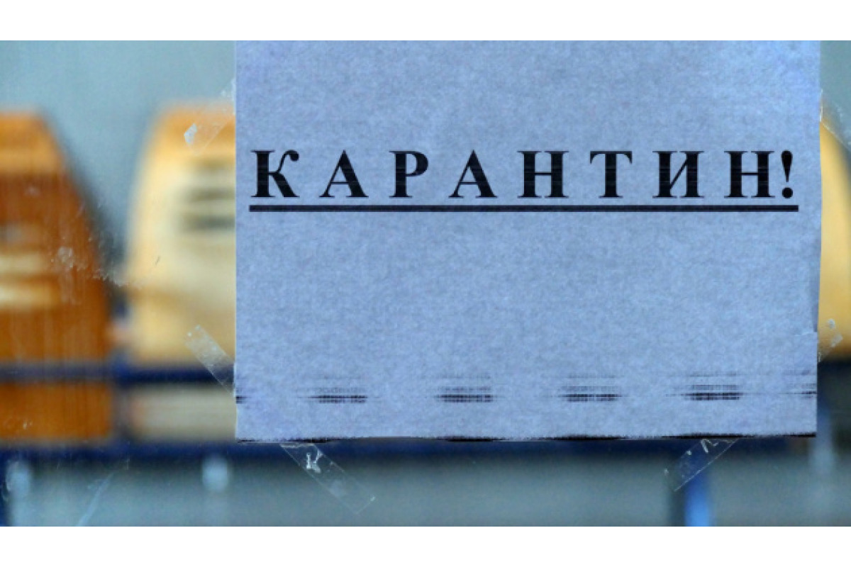 Захворюваність на грип і ГРВІ на Київщині: ситуація загострюється