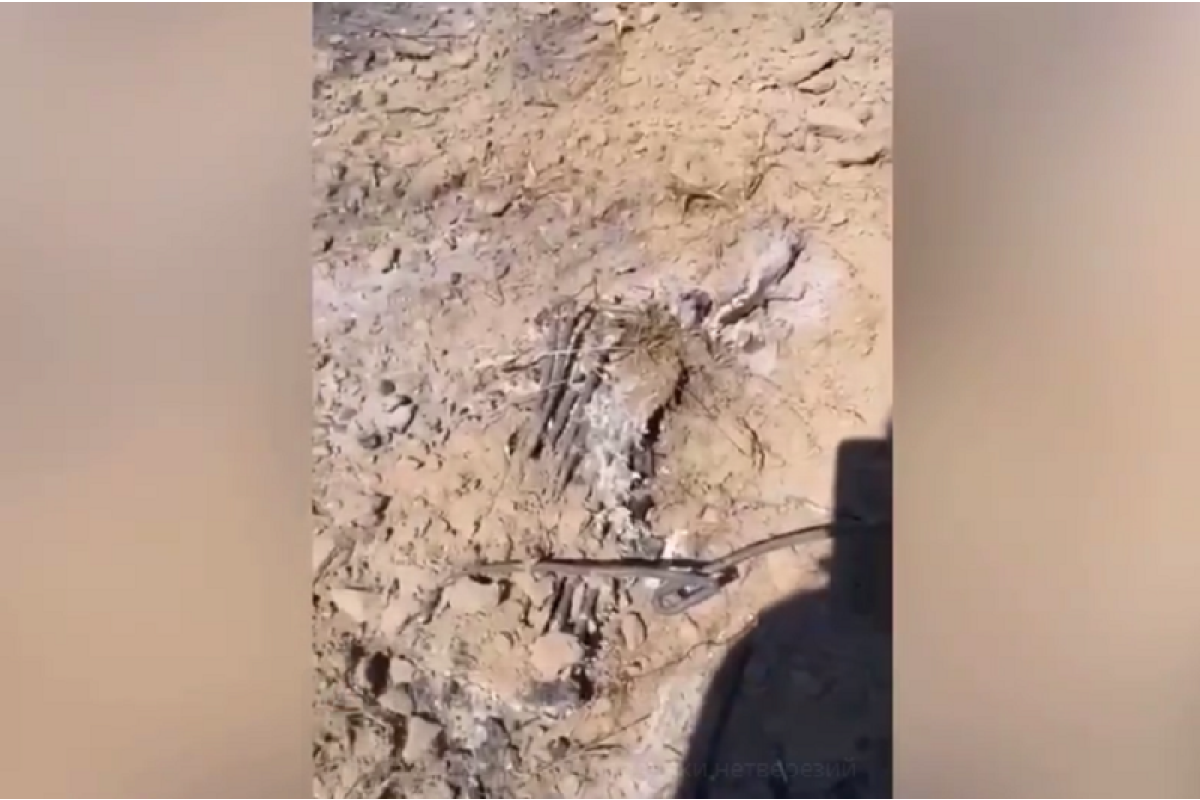 Поблизу Бородянки п’яний чоловік мало не згорів живцем, випалюючи метал з кабелів