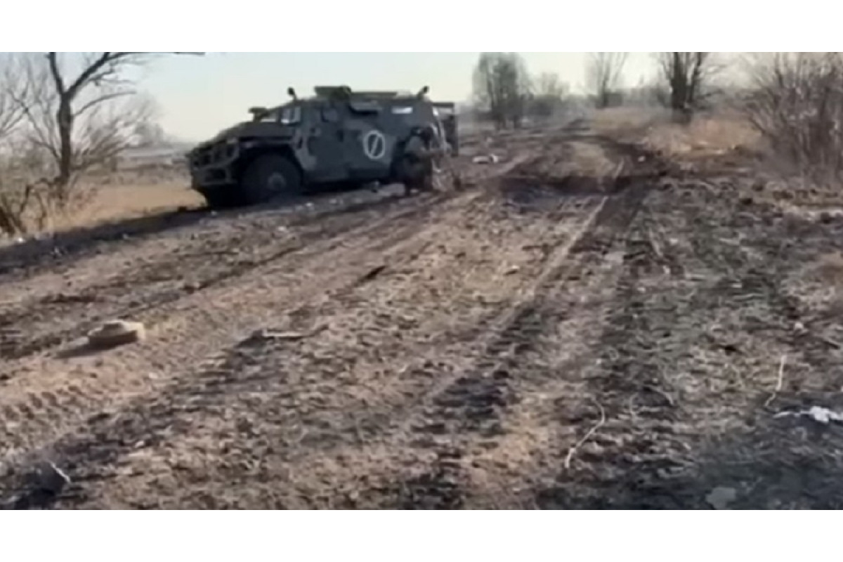 У Київській області знищили чергову колону російської техніки (ВІДЕО)