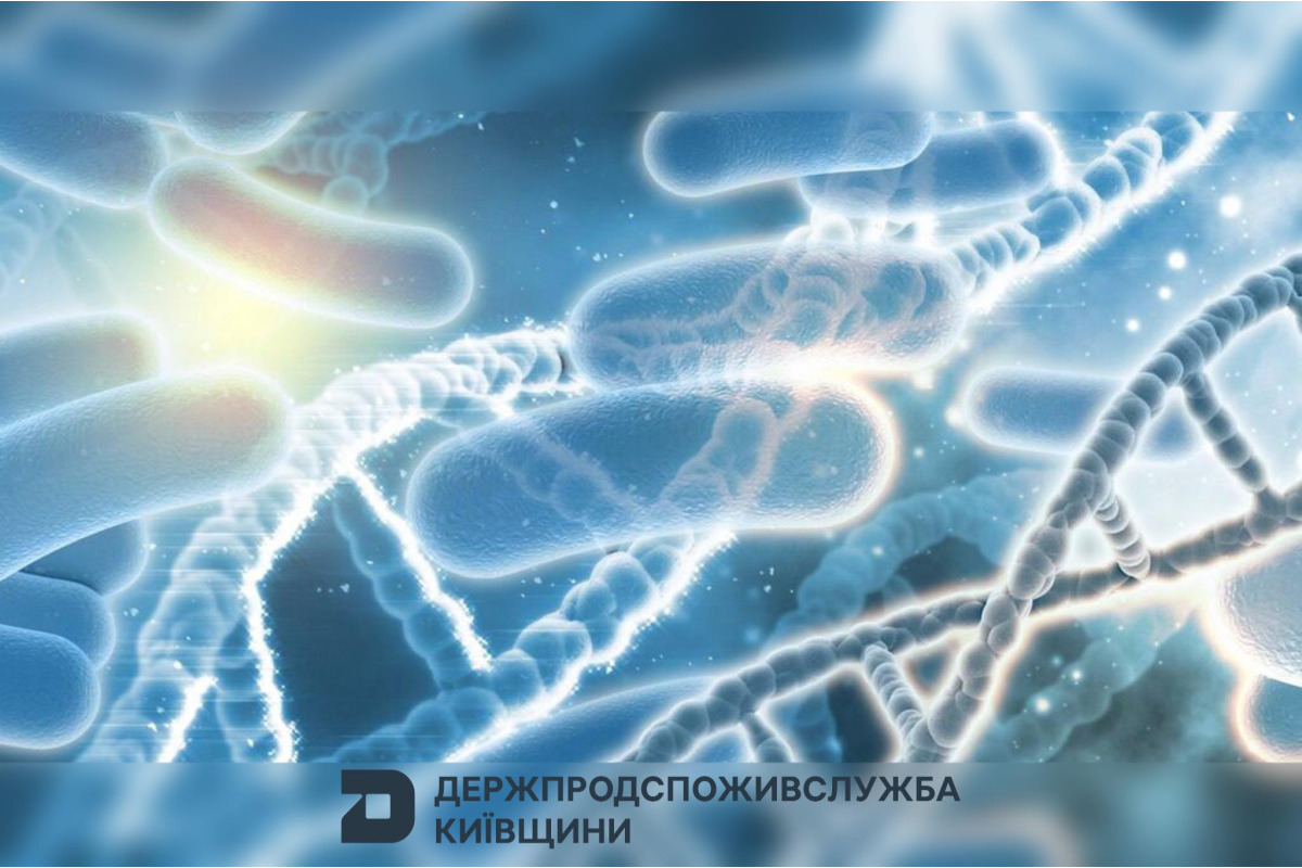Спалах гострої кишкової інфекції на Київщині: 11 госпіталізованих у Броварському районі