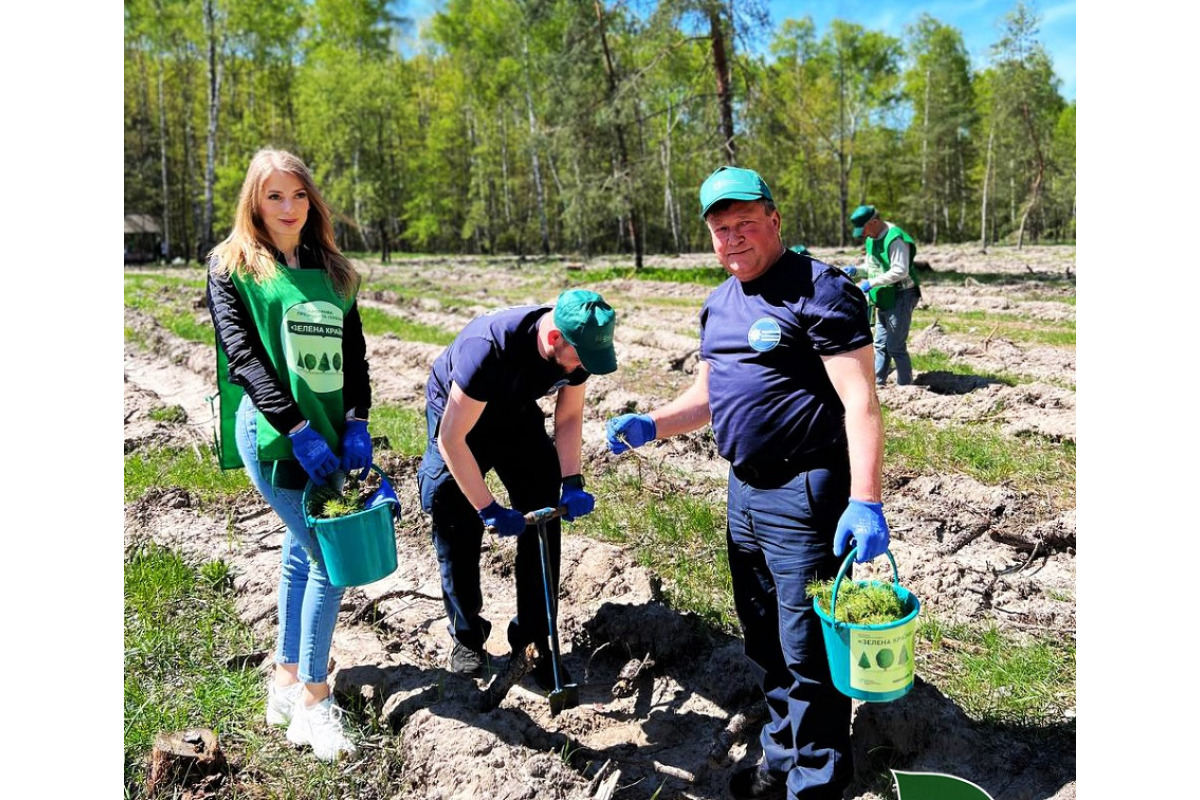 Ліс з 6000 сіянців висадили на Бориспільщині (ФОТО)