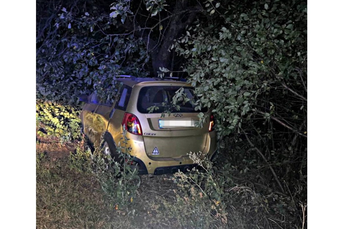 На Київщині п’яний водій врізався у дерево: доза алкоголю була перевищена у 15 разів (ФОТО)