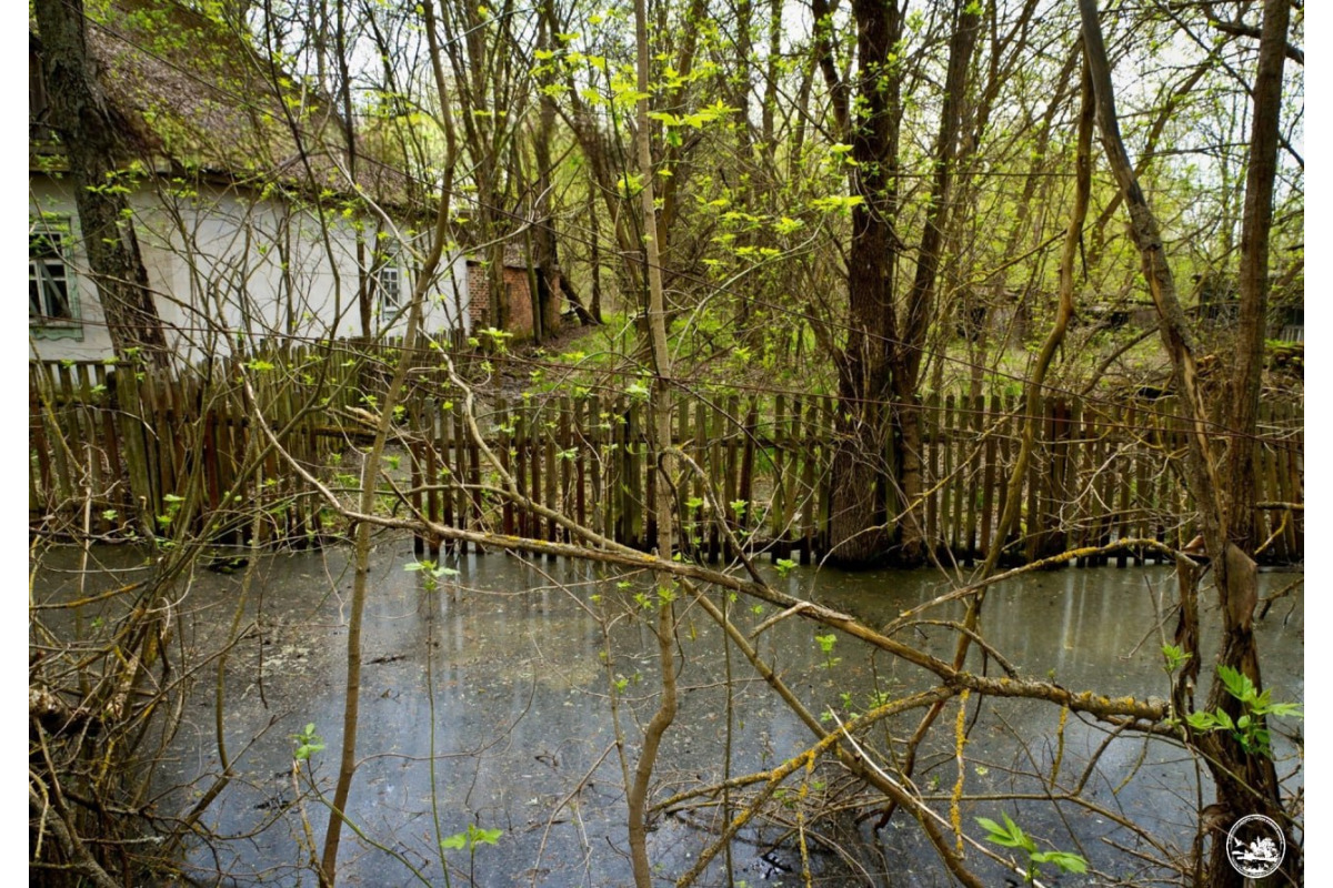 Весняна повінь підтопила Чорнобильський заповідник (ФОТО)