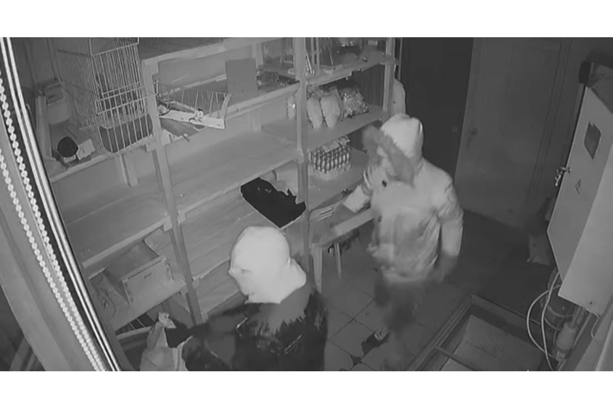 Мешканець Ржищева разом із неповнолітнім хлопцем грабував магазини (ВІДЕО)