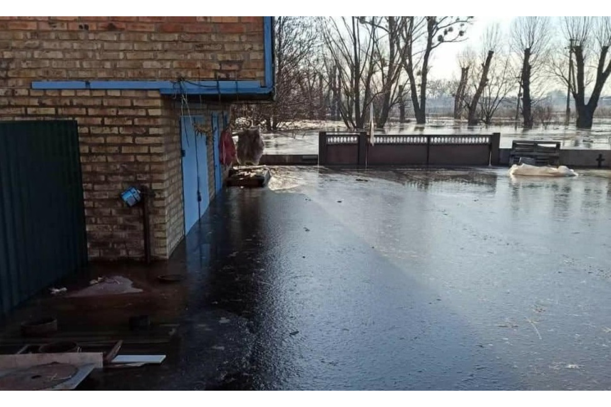 Фото супутника показали, як ворог загальмував власне просування на Вишгородщині