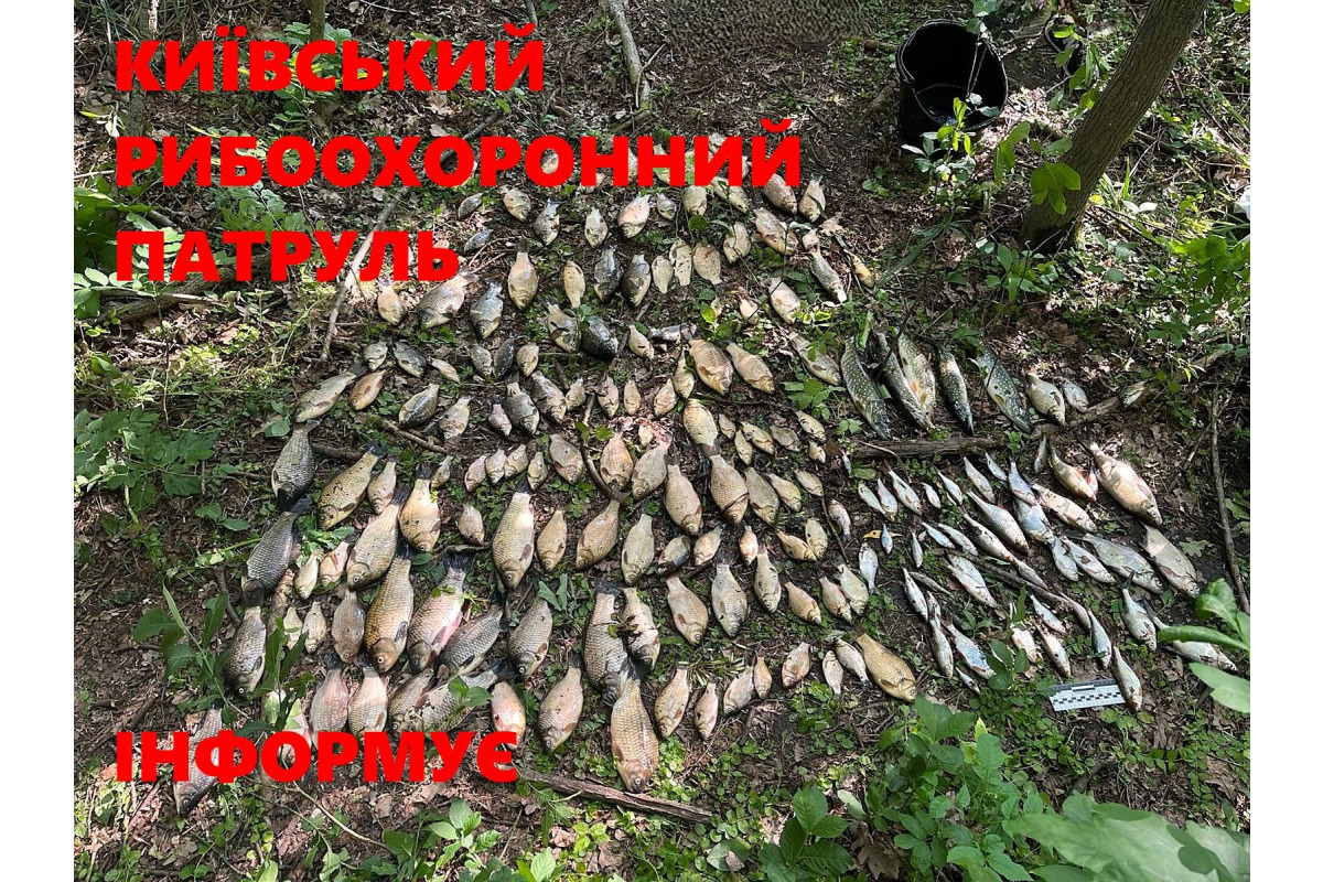 На Білоцерківщині спіймали браконьєра з уловом на понад 318 тисяч гривень