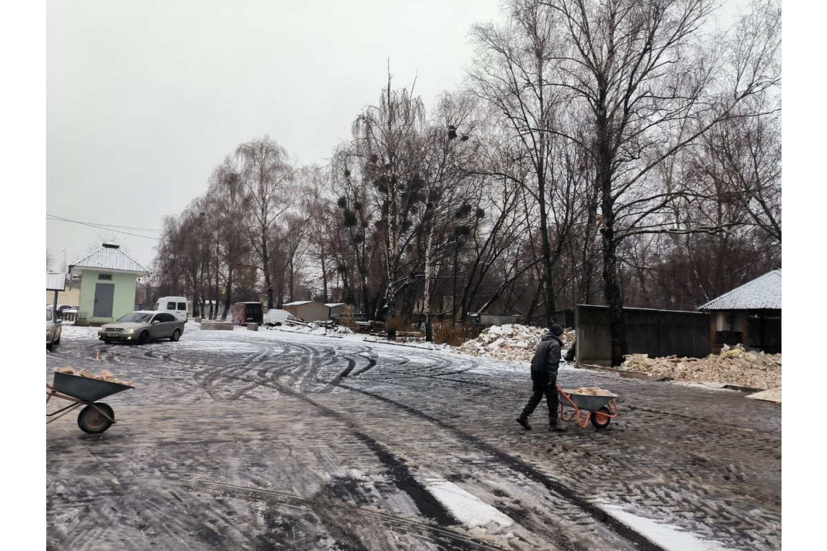 Ще 22 дерева пустили "під ніж" у Броварах