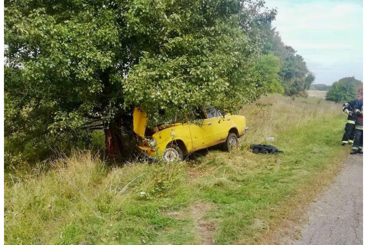 У Броварському районі легковик вилетів у кювет та зіткнувся з деревом (ФОТО)
