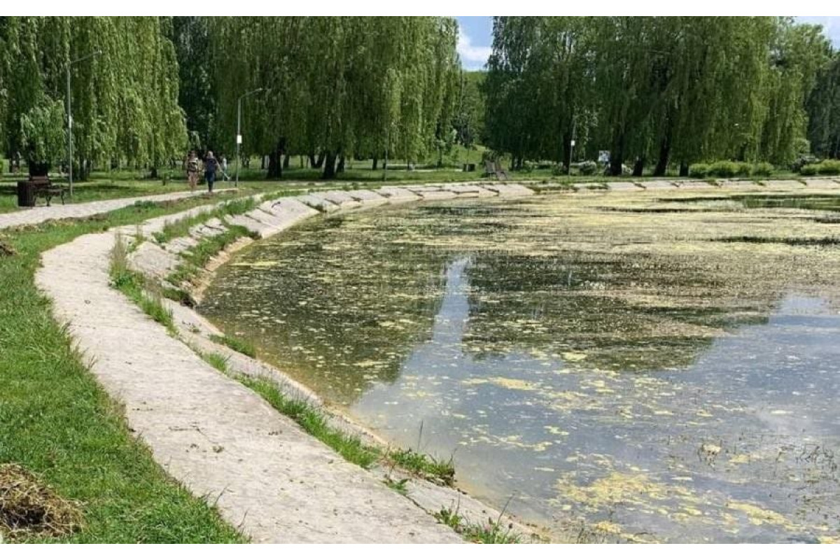 Броварчан запрошують долучитись до толоки 27 травня