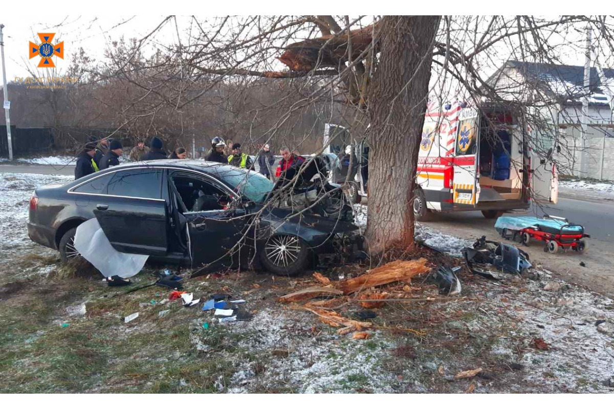 Водій Audi у Бородянській ОТГ не впорався з керуванням та зіткнувся з деревом