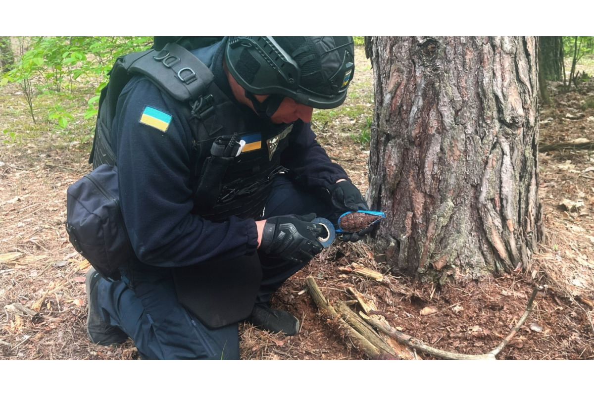 На Вишгородщині сапери вилучили ручні осколкові гранати Ф-1 (ФОТО)