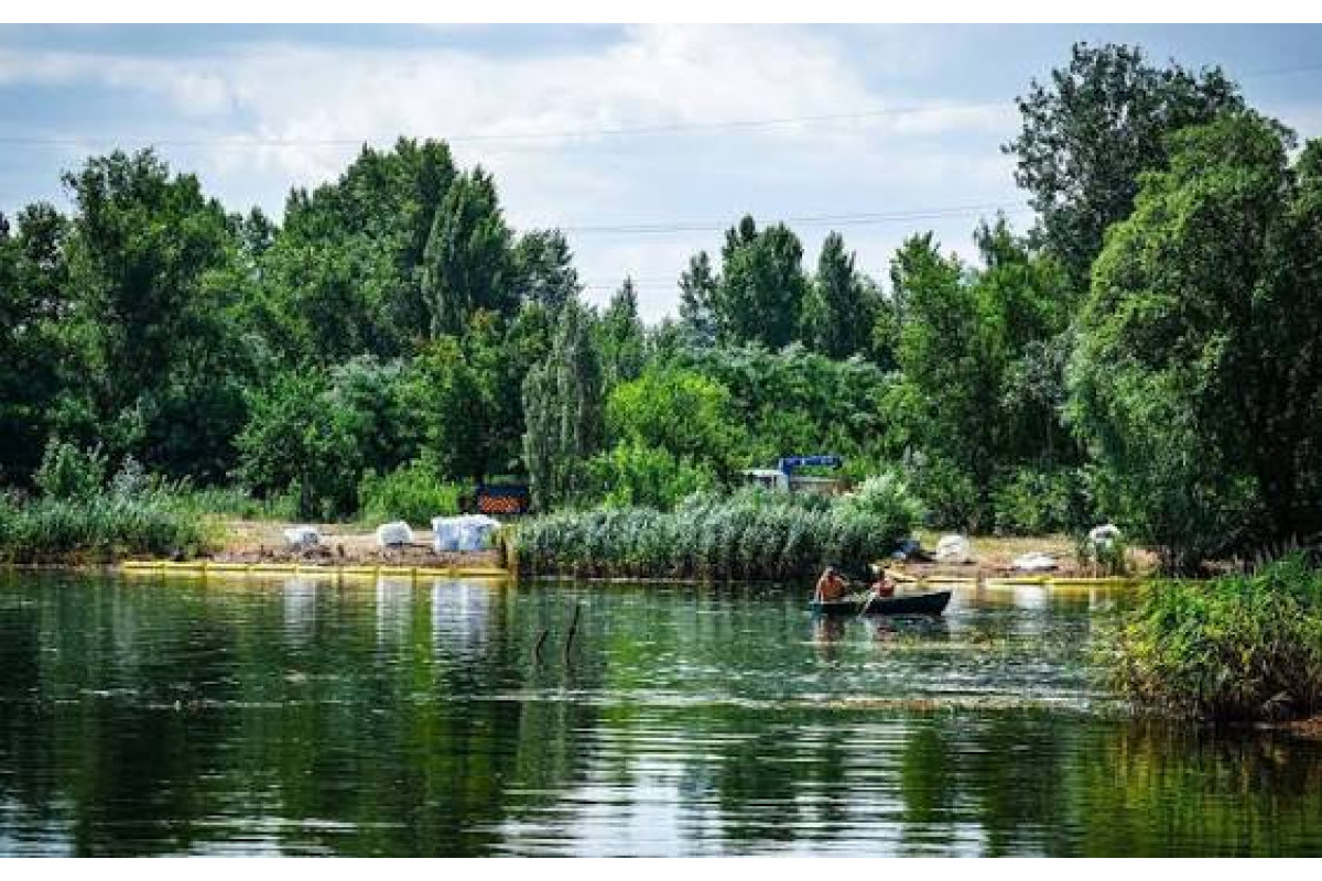 Важкі метали, кислоти та загибла риба: на Київщині розслідують забруднення річки Борщагівка після атаки