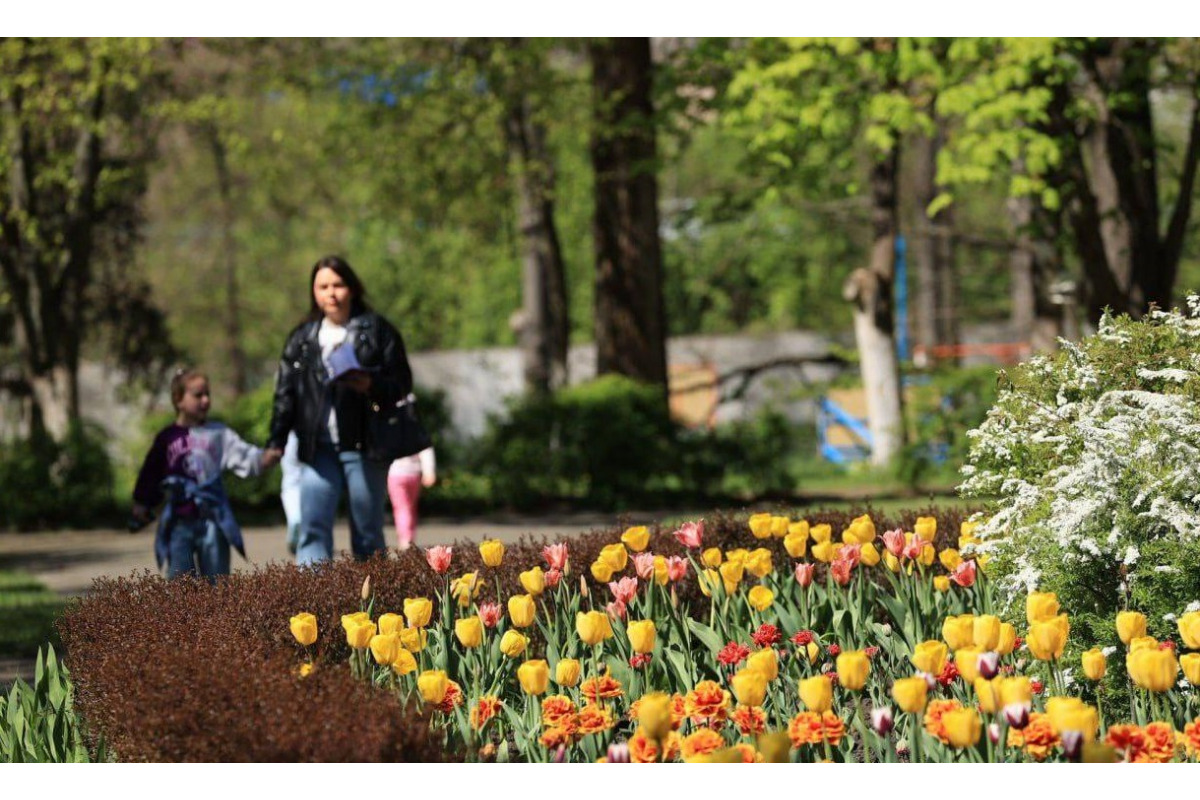 Всеукраїнський проєкт "Flowers 4 School": в Ірпені розквітли тюльпани Перемоги (ФОТО)