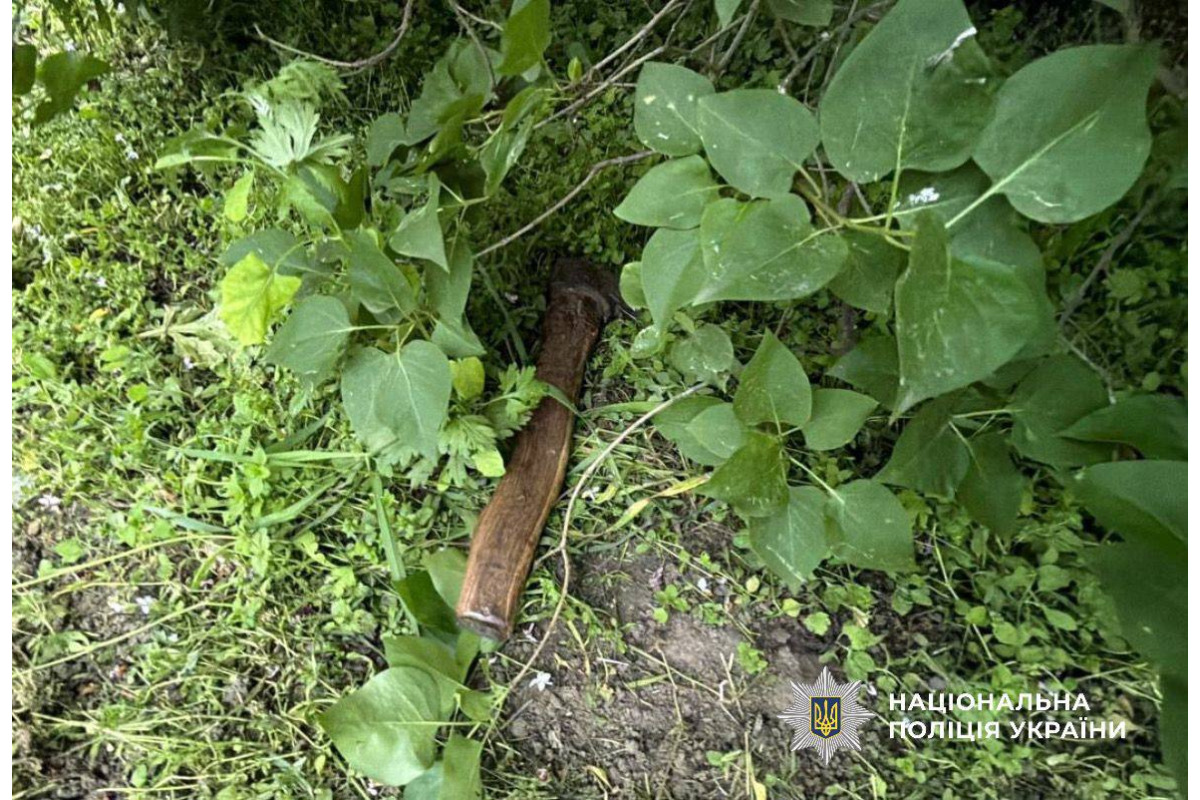 Накинувся із сокирою на родичку: поліцейські Київщини повідомили зловмиснику про підозру