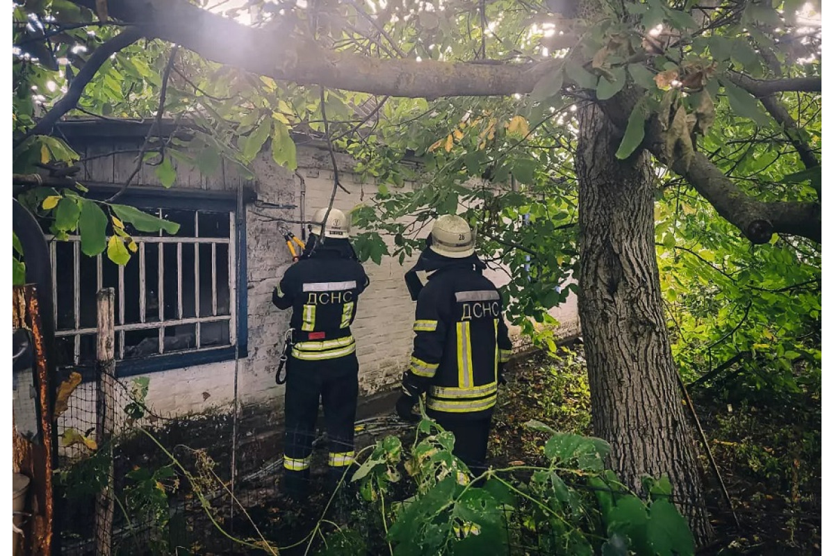 У пожежі на Бориспільщині загинула літня жінка