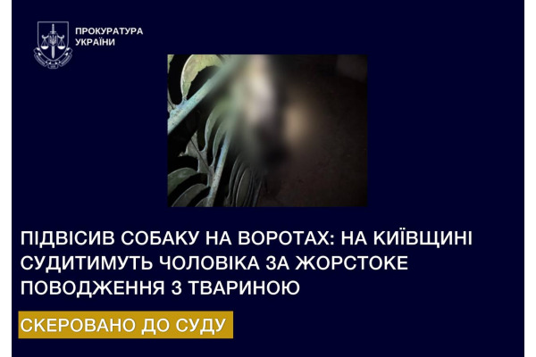 Підвісив собаку на воротах: на Київщині судитимуть чоловіка за жорстоке поводження з твариною