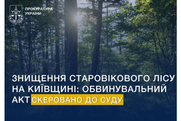 Справу про незаконну вирубку старовікового лісу на Київщині скерували до суду