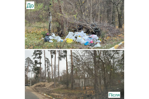 В Ірпінській громаді триває масштабна осіння толока (ФОТО)