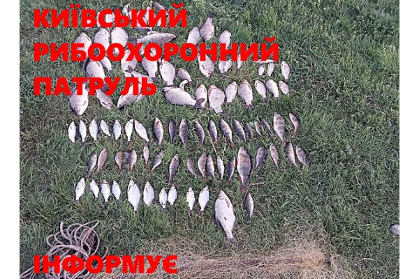 На Бучанщині спіймали браконьєра з уловом майже на 200 тисяч грн