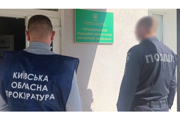 У Чорнобильській зоні незаконно вирубали дерев на понад 77 мільйонів