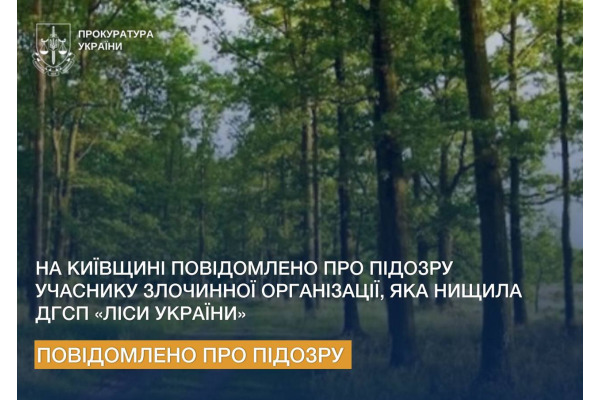 На Київщині повідомлено про підозру восьмому учаснику злочинної організації, яка два роки нищила ліси