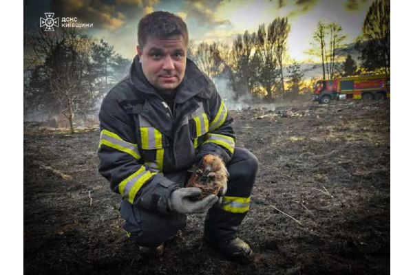 На Вишгородщині рятувальники врятували з вогню їжачка