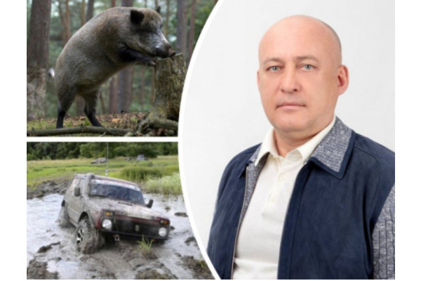 Впливовий депутат Київської облради за безцінь викупив величезний лісовий масив