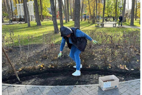 В Ірпені висадили 500 тюльпанів з "Добропарку"