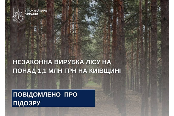Незаконна вирубка лісу на понад 1,1 млн грн – на Київщині службовій особі повідомлено про підозру