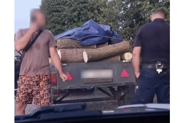 У Броварському районі спіймали чоловіка, який незаконно перевозив деревину