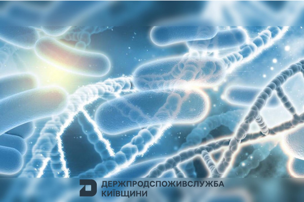 Спалах гострої кишкової інфекції на Київщині: 11 госпіталізованих у Броварському районі