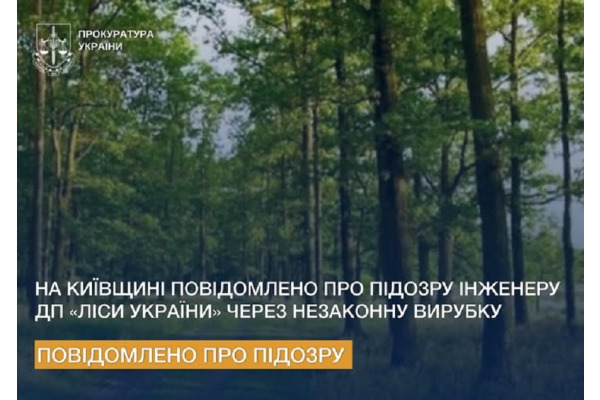 На Київщині інженера держпідприємства «Ліси України» підозрюють у незаконній рубці дерев
