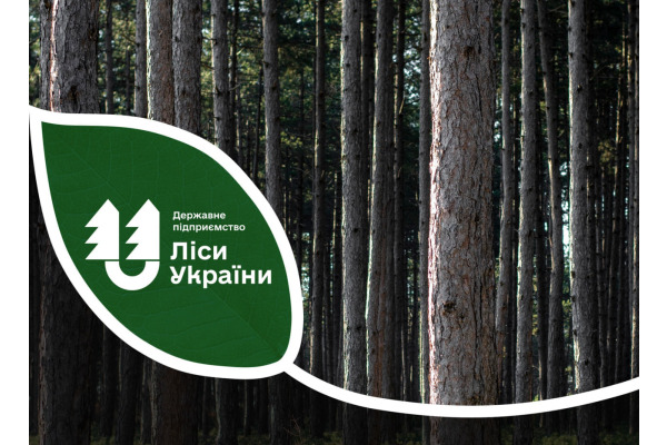 На Київщині та Житомирщині вже 12 надлісництв отримали FSC-сертифікати