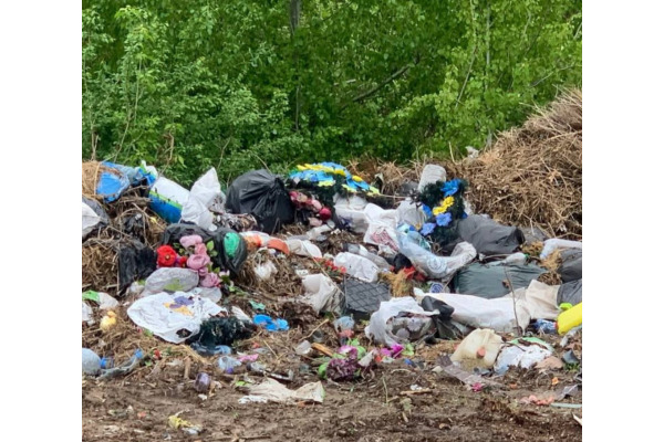 Екоінспекція викрила масштабні порушення у Вишгородській міськраді