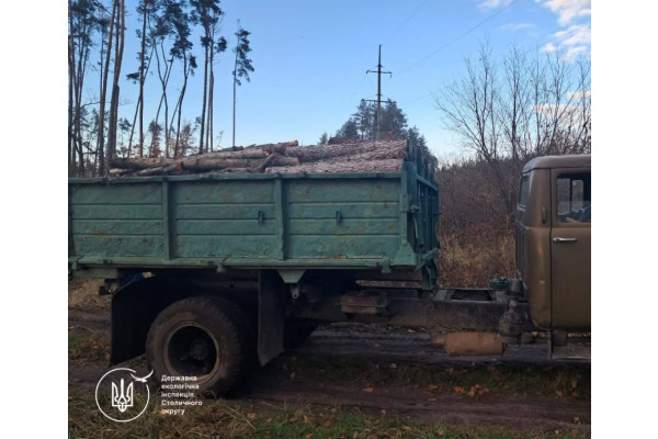 На Білоцерківщині виявили ще один факт незаконної вирубки та перевезення лісу