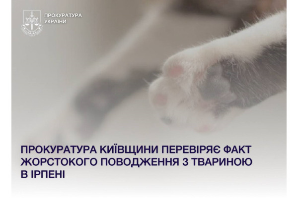 На Київщині прокуратура розслідує випадок жорстокого поводження з твариною