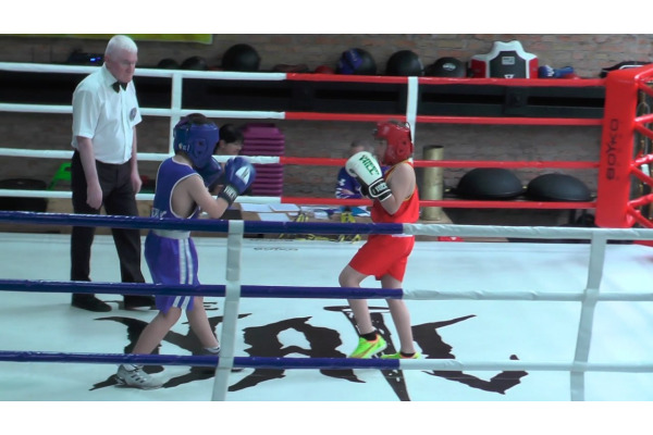 Відкритий чемпіонат Білоцерківської громади з боксу (ВІДЕО)