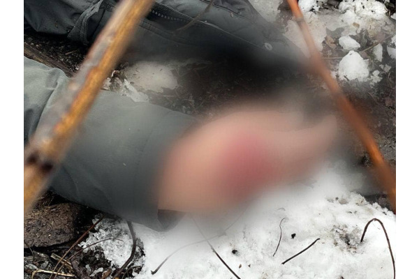 Трагедія у Нових Петрівцях: від ураження електричним струмом загинула дитина (ФОТО)