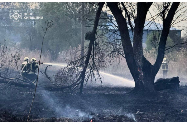 Ліквідовано загорання травʼяного настилу на Обухівщині