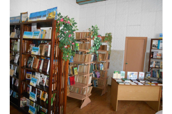 1 млн грн планують виділити на поповнення книжкового фонду сільських бібліотек Київщини