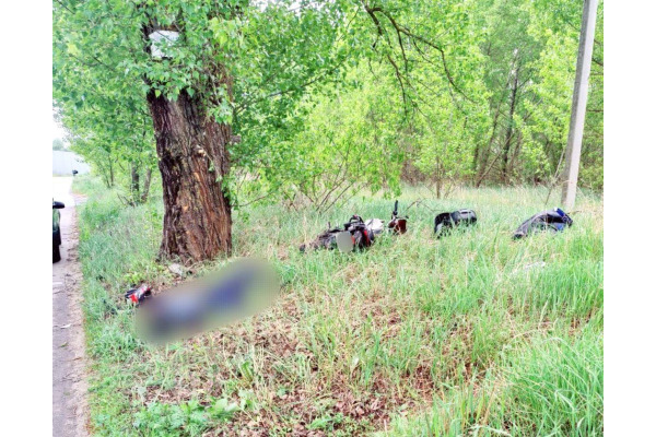 На Бориспільщині мотоцикліст смертельно влетів у дерево (ФОТО)