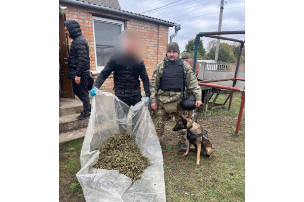 На Київщині кінологи виявили 30 кг речовини, схожої на наркотики