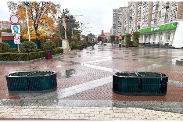 Нічні злодії обнесли клумби в центрі Ірпеня